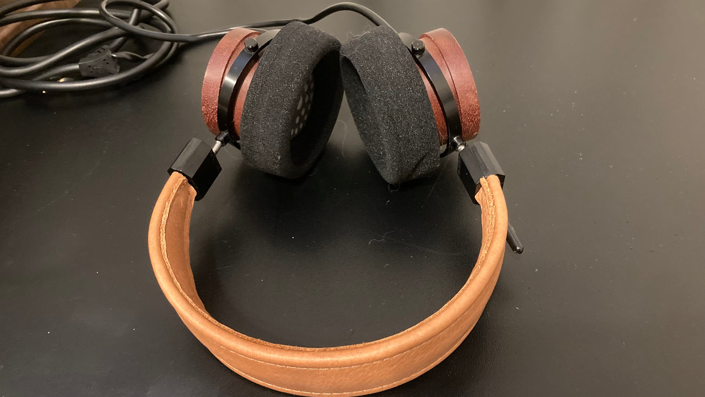 RS1e