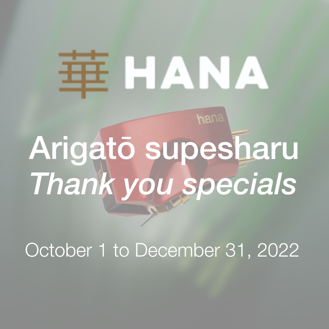 Hana specials 2022
