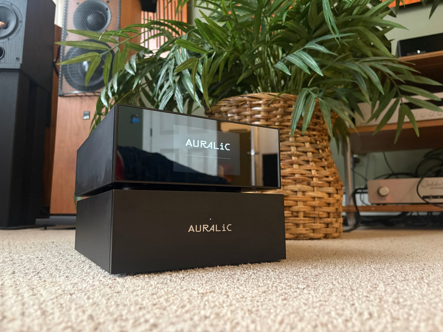 AURALiC VEGA S1  w/ power supply upgrade (DEMO)