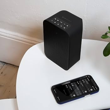 Bluesound PULSE FLEX 2i